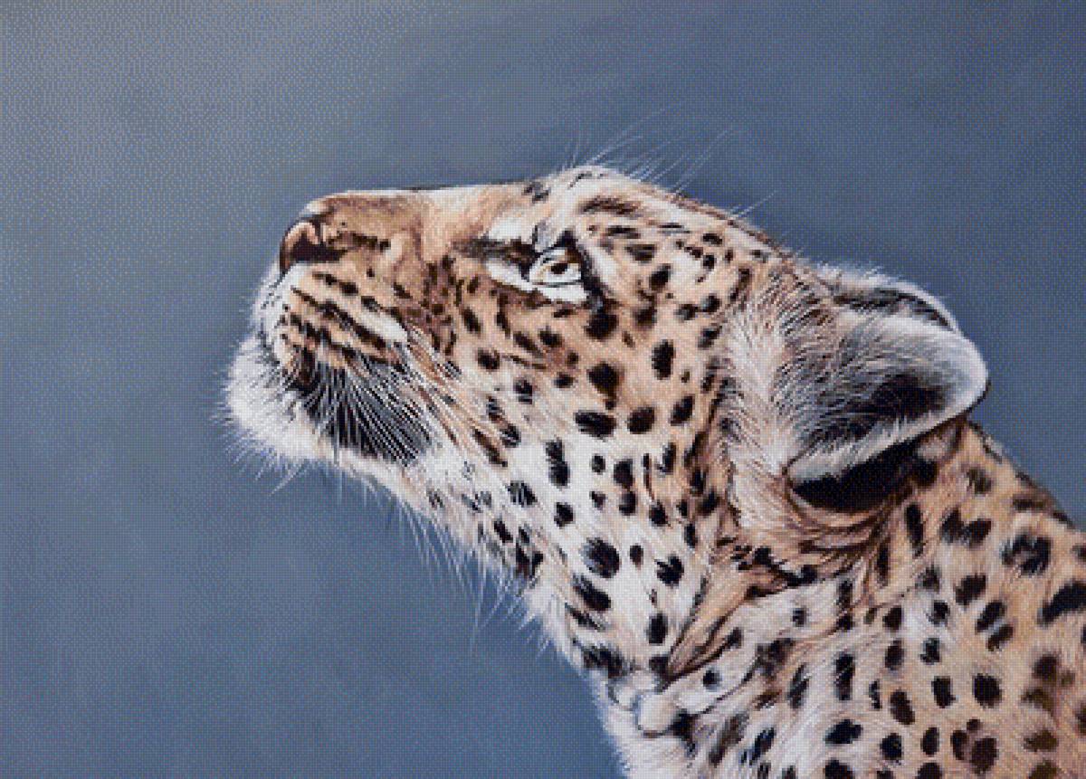 Художник Emily-mei Cross - хищники, художники, животные - предпросмотр