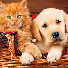 Схема вышивки «№2038695»