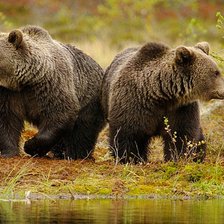 Схема вышивки «№2038703»