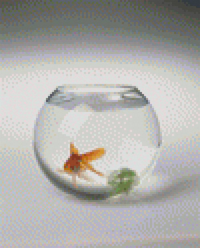 аквариум - аквариум, вода, золотая рыбка - предпросмотр