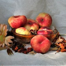 Схема вышивки «№2038966»