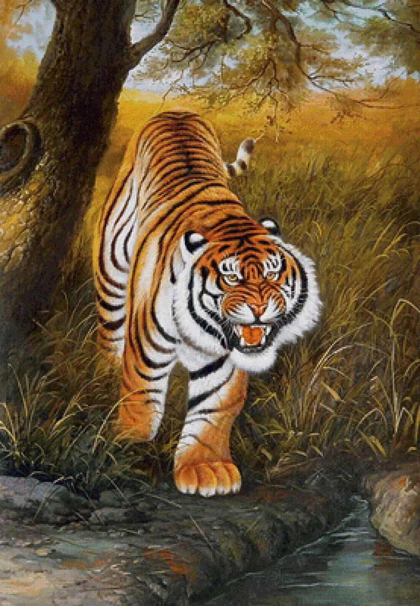 Тигр - звери, животные - предпросмотр