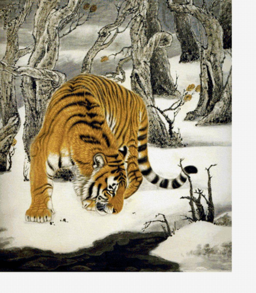 Тигр - животные, звери - предпросмотр