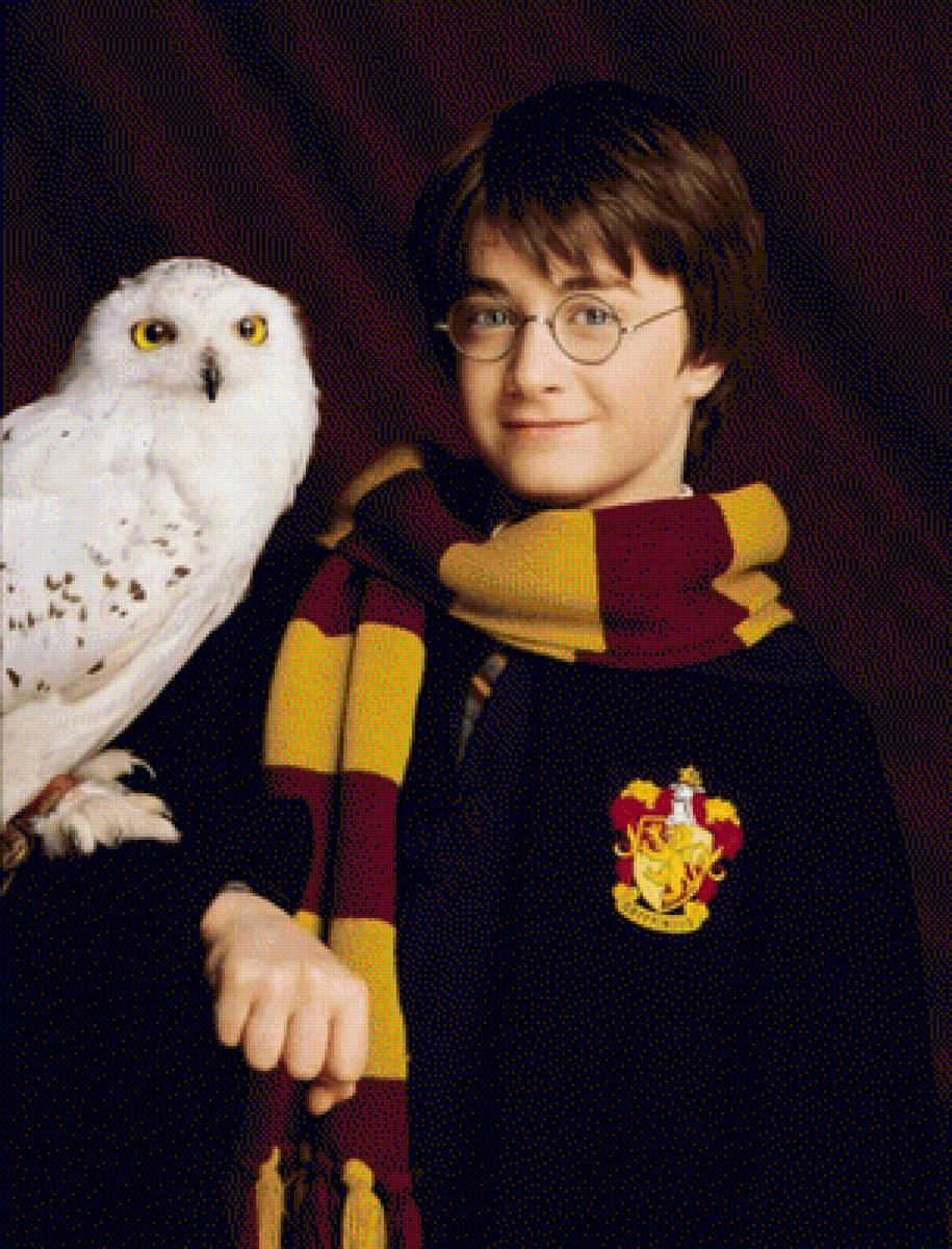 Гарри и букля - предпросмотр