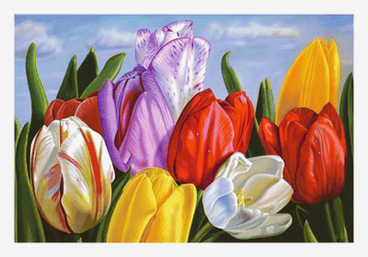 TULIPANES - предпросмотр