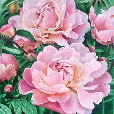 Схема вышивки «Пионы»