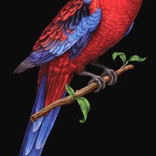 Схема вышивки «№2040082»