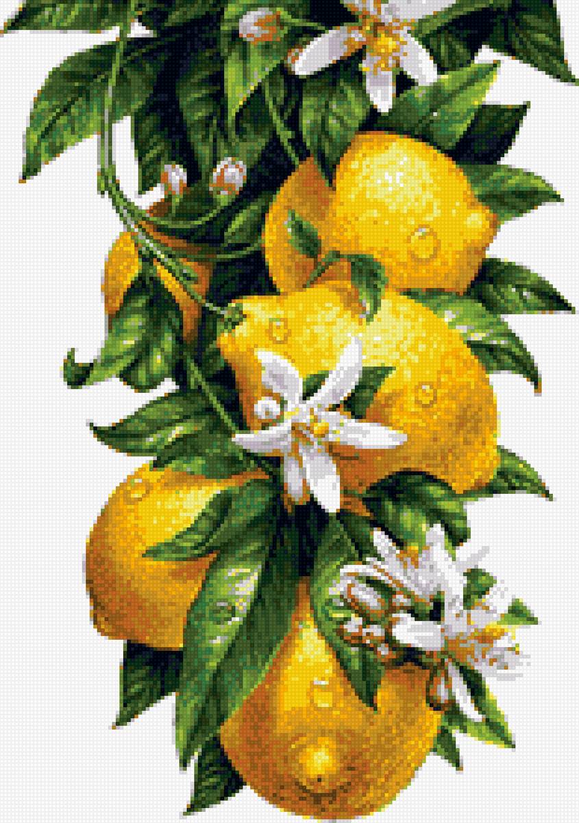 №2040084 - предпросмотр