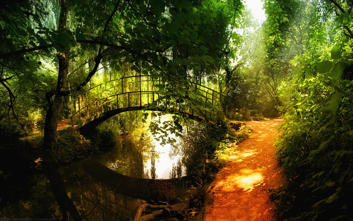 мост в лесу - оригинал