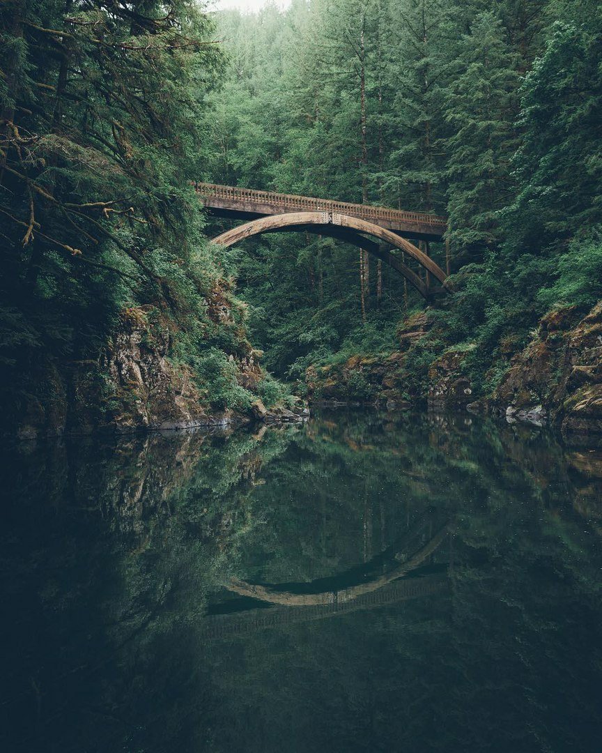 мост в лесу - мост, природа - оригинал