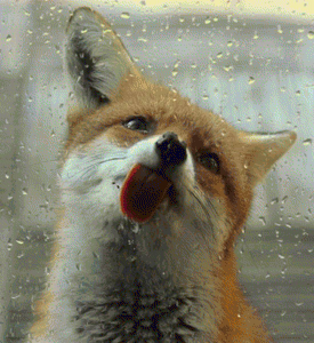 лисенок - животные, милота, природа - предпросмотр