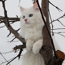 Схема вышивки «Где же ты,весна?»