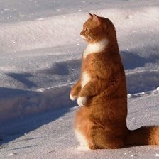 Схема вышивки «Впередсмотрящий»