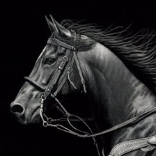 Схема вышивки «Профиль коня»