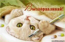 Выздоравливай с котом - картинка, пожелания, выздоравливай, кот, открытка - оригинал