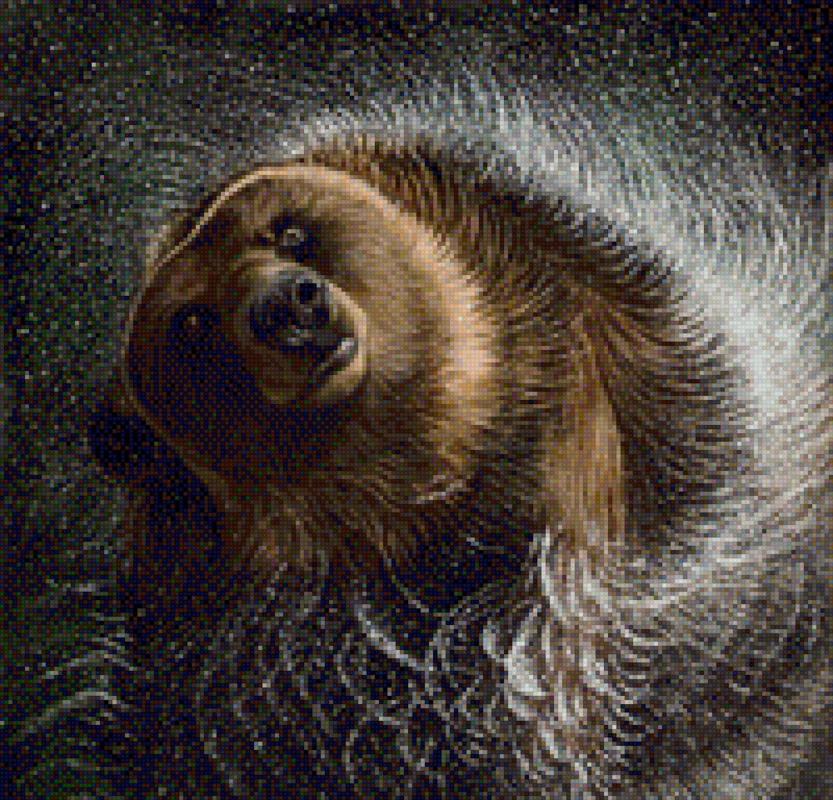 Медведь купается - медведь, купание, мишка, брызги, фото, дикие животные - предпросмотр