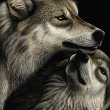 Оригинал схемы вышивки «Волчья пара» (№2040644)