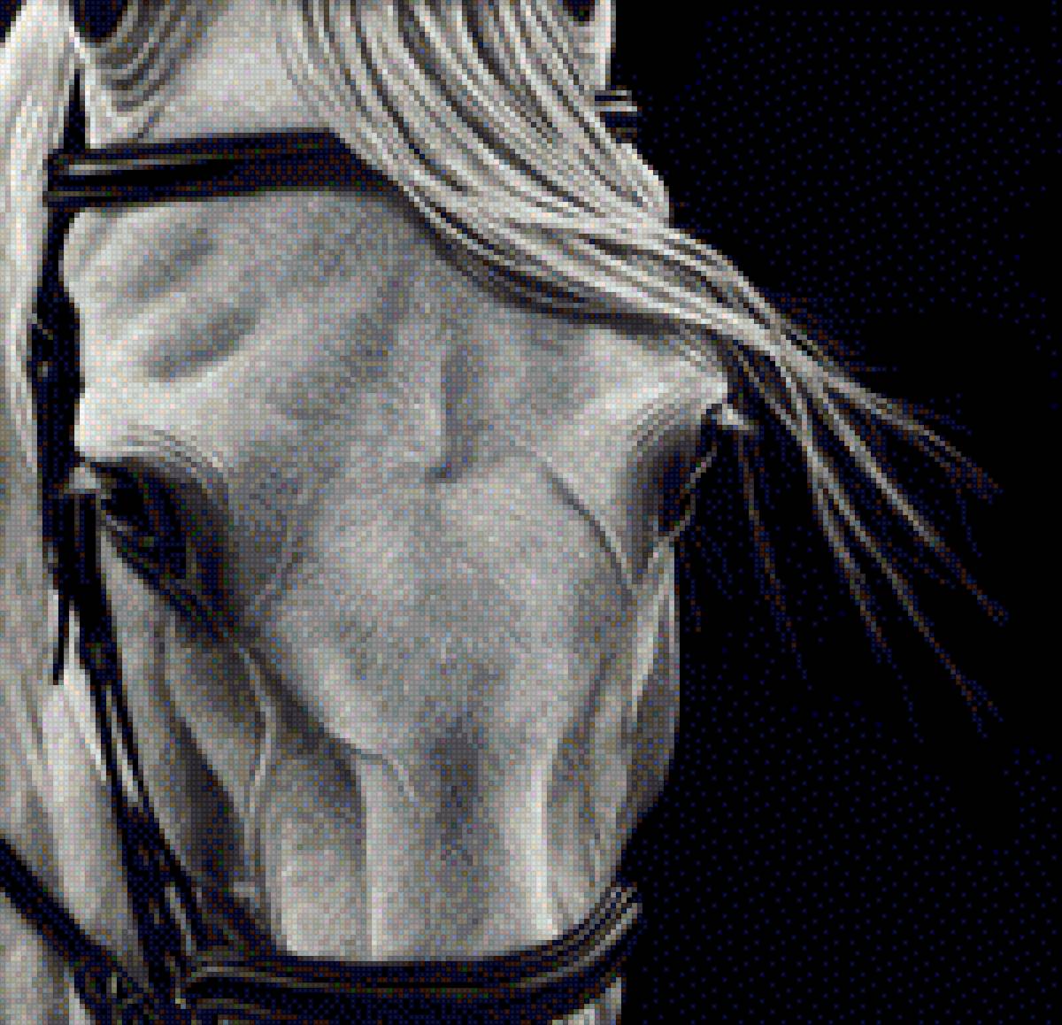 Взгляд коня - взгляд, животные, конь, лошади, картина - предпросмотр