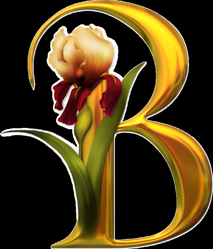 Алфавит с цветами - алфавит, абетка, английский, цветы - оригинал