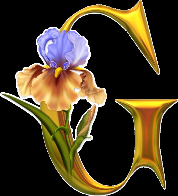 Алфавит с цветами - цветы, абетка, английский, алфавит - оригинал