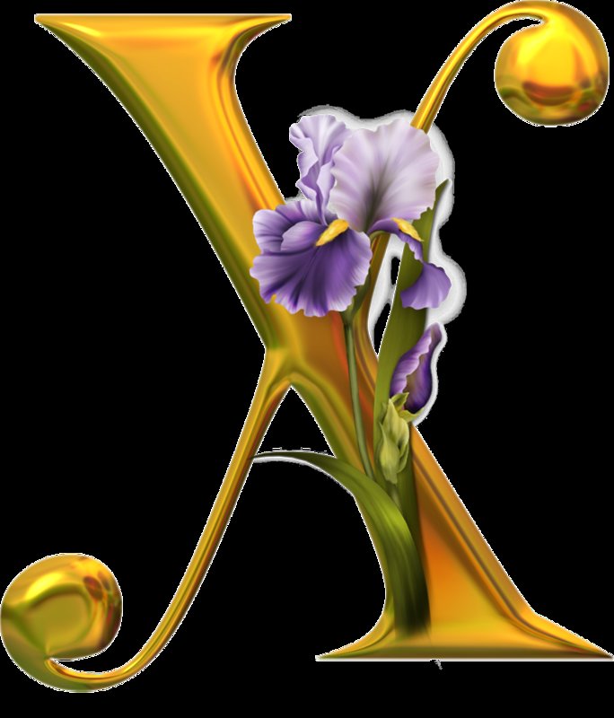 Алфавит с цветами - алфавит, английский, абетка, цветы - оригинал