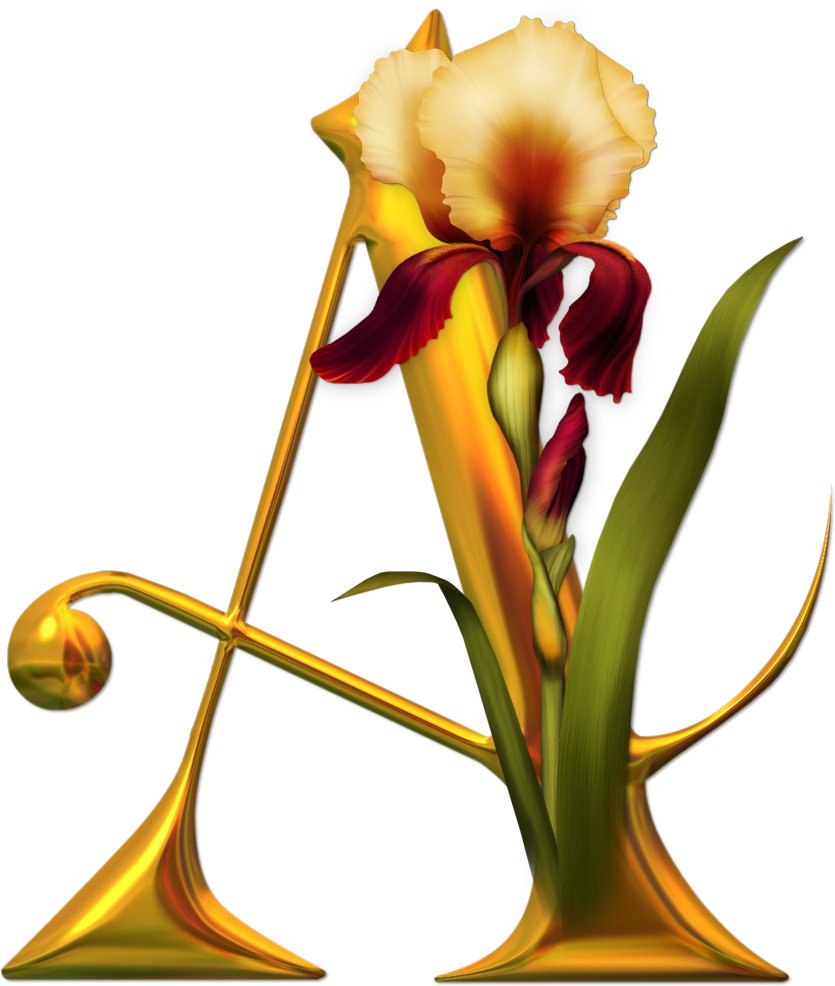 Алфавит с цветами - абетка, алфавит, английский, цветы - оригинал