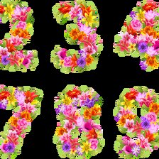 Схема вышивки «Цифры цветочные»