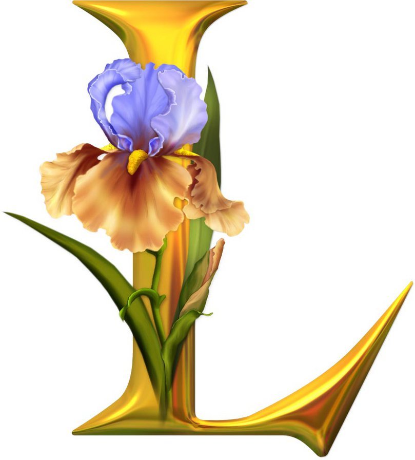 Алфавит с цветами - английский, алфавит, цветы, абетка - оригинал