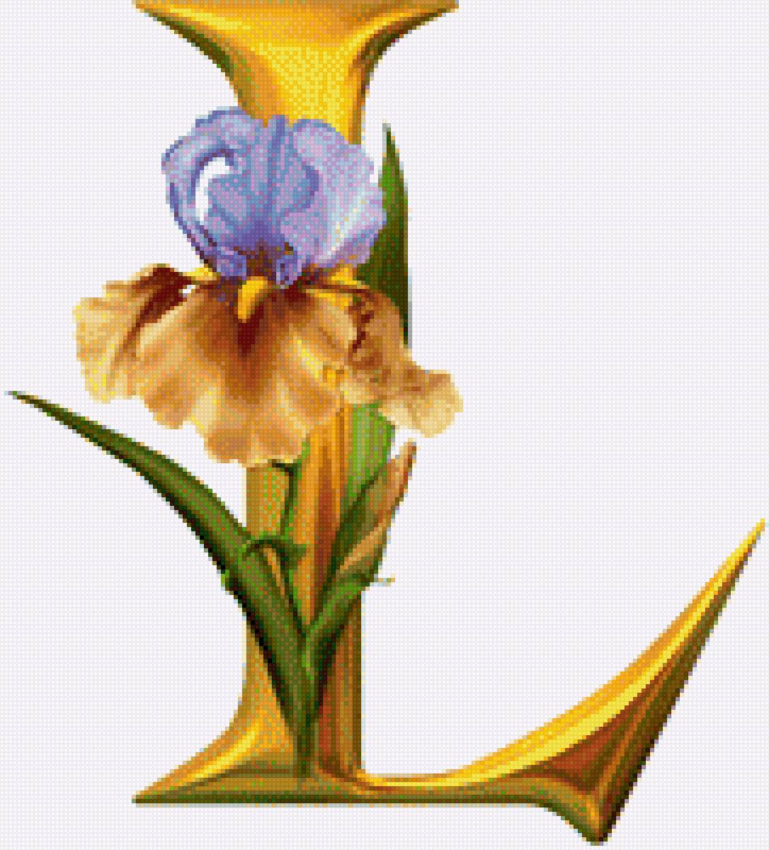 Алфавит с цветами - цветы, английский, алфавит, абетка - предпросмотр