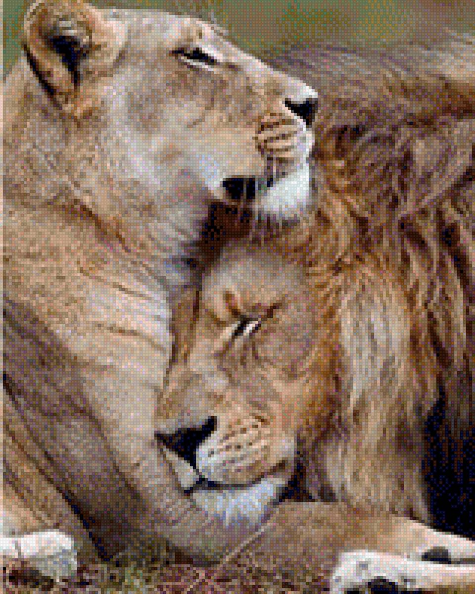 Львы доверие - природа, звери, дикие звери, саванна, лев, пара львов, львы - предпросмотр