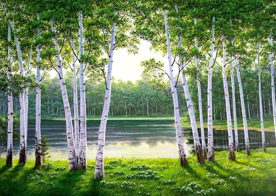 Пейзаж - лес, лето, пруд, березы - оригинал