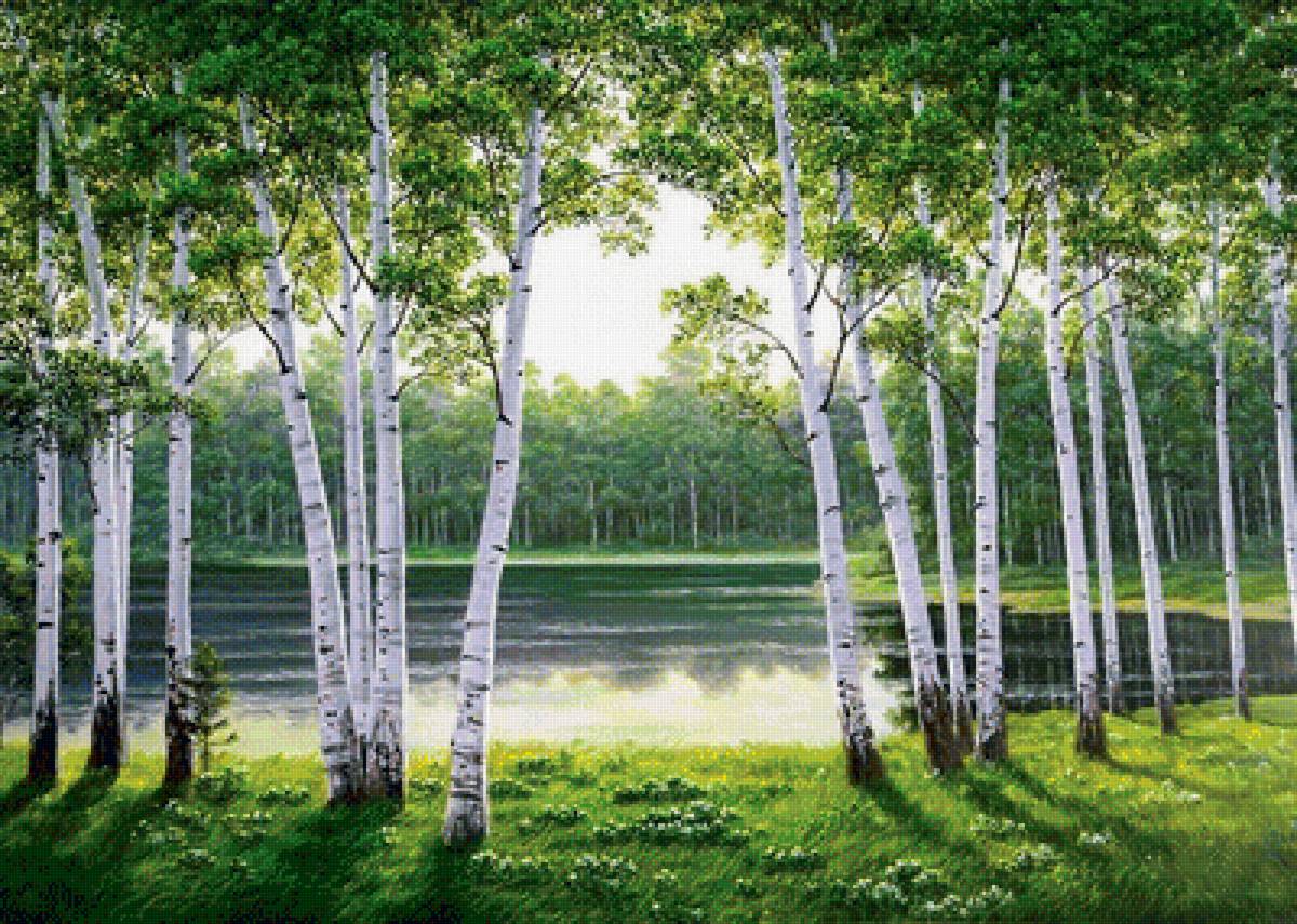 Пейзаж - пруд, березы, лето, лес - предпросмотр