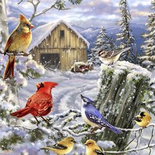 Схема вышивки «Птички»