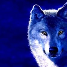 Схема вышивки «одинокий волк»
