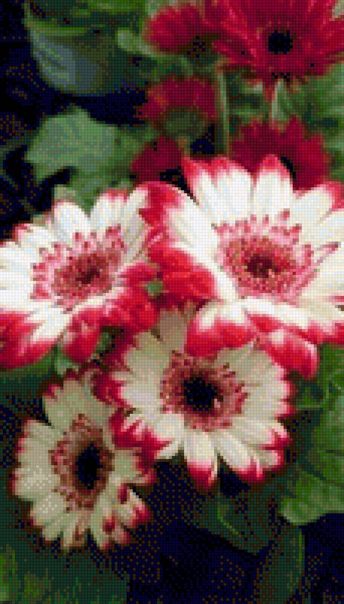 красивые цветы - цветок, цветы - предпросмотр