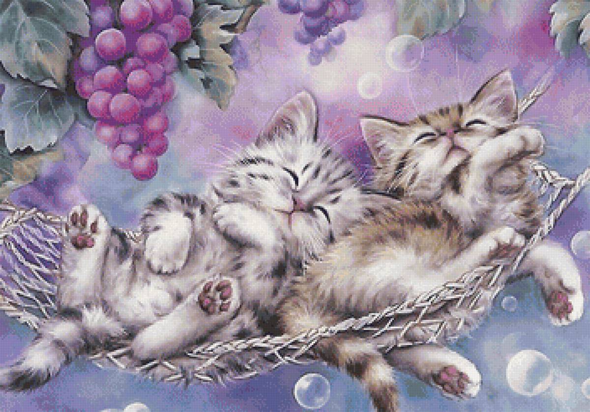 спящие котята - котята, виноград, гамак - предпросмотр