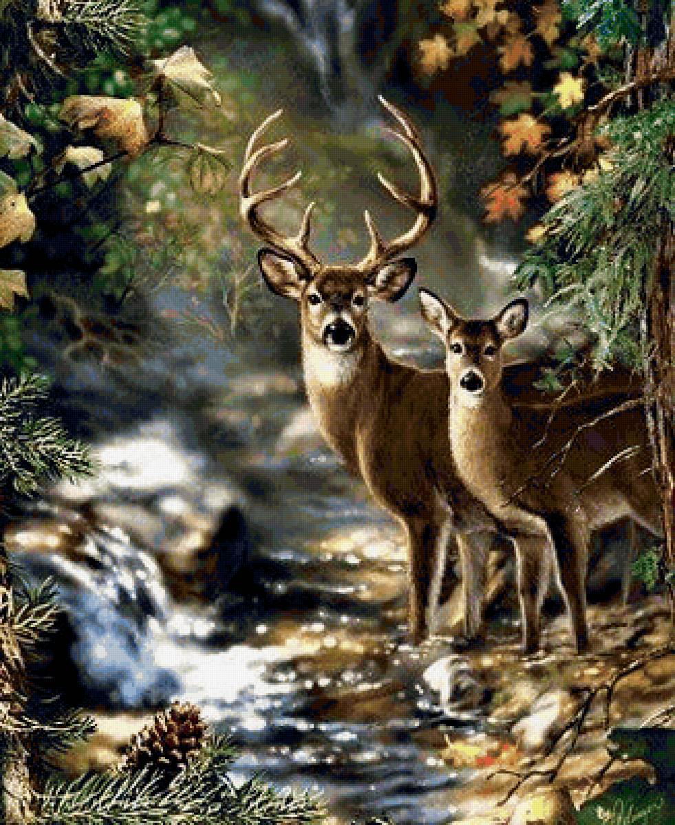 №2041858 - предпросмотр