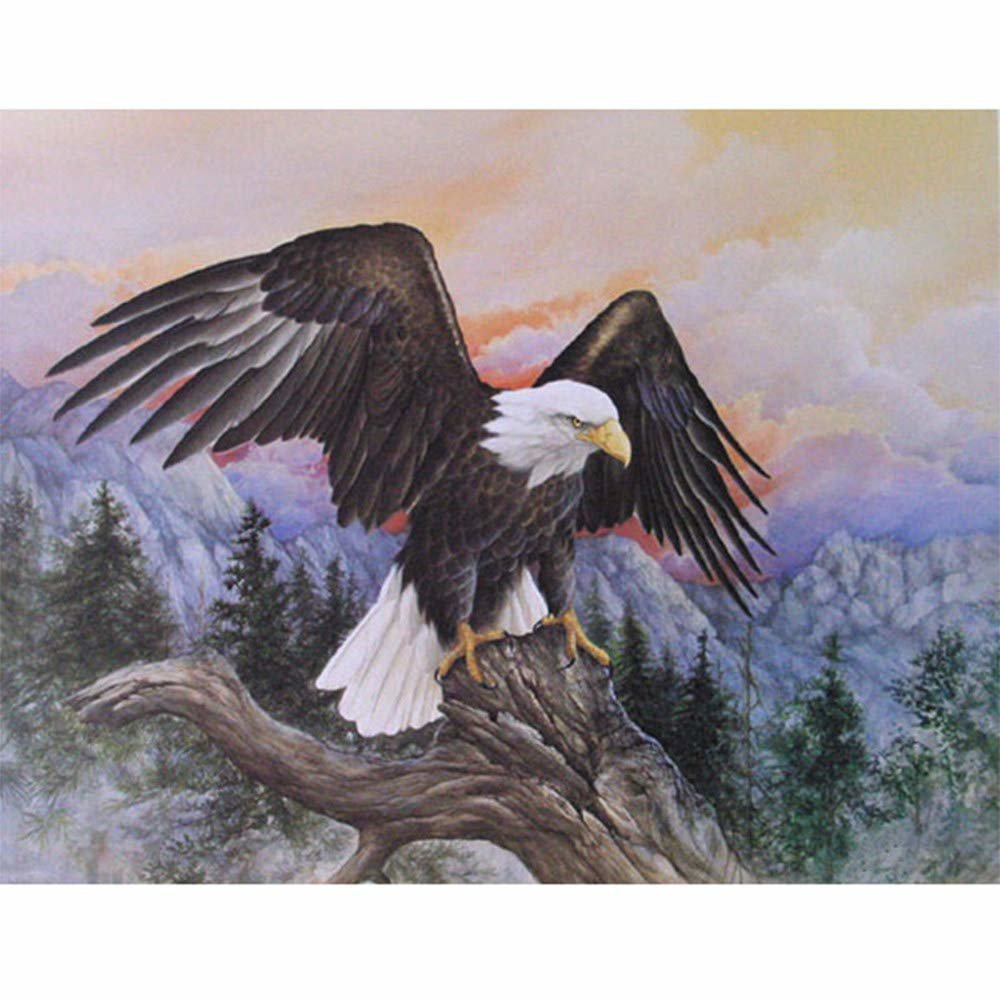 Орел - птица, символ, орел, природа, америка, история, тотем - оригинал