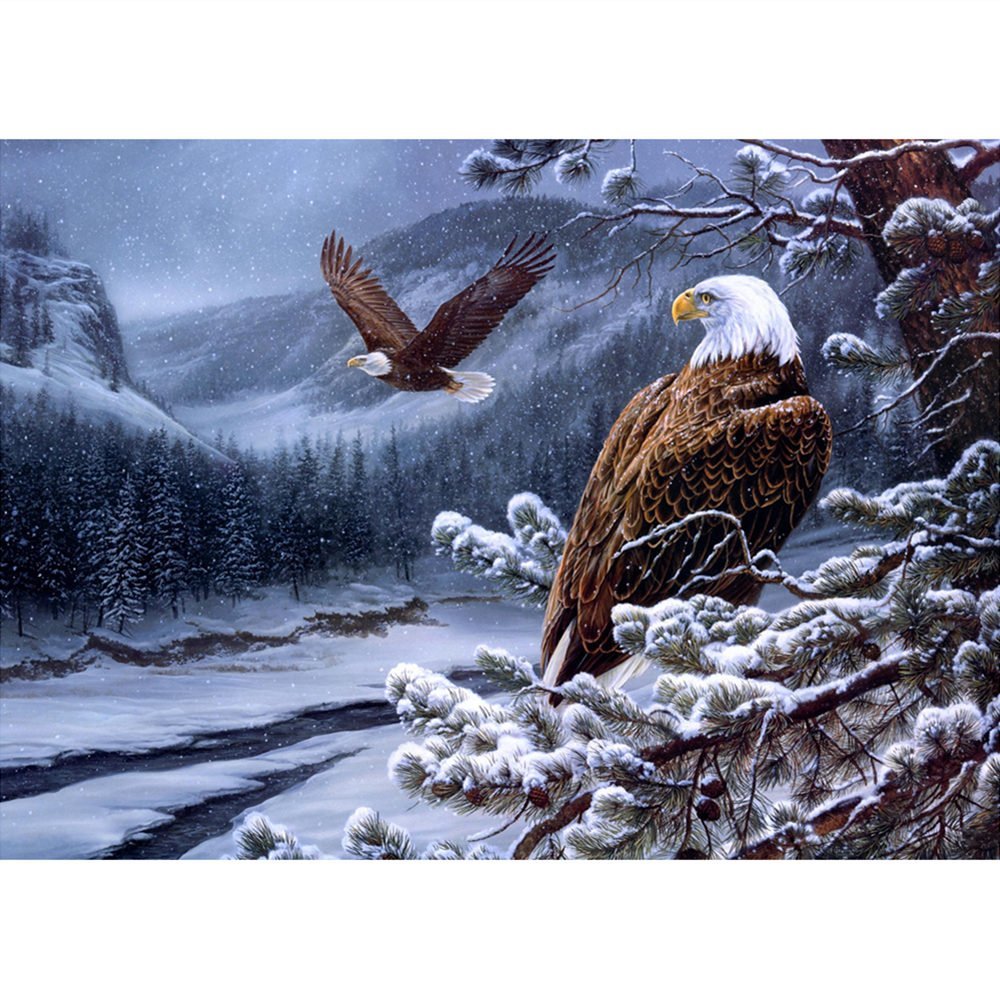 Орлы зимой - америка, история, тотем, орел, птица, символ, природа - оригинал