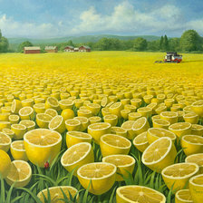 Схема вышивки «Лимонное поле»