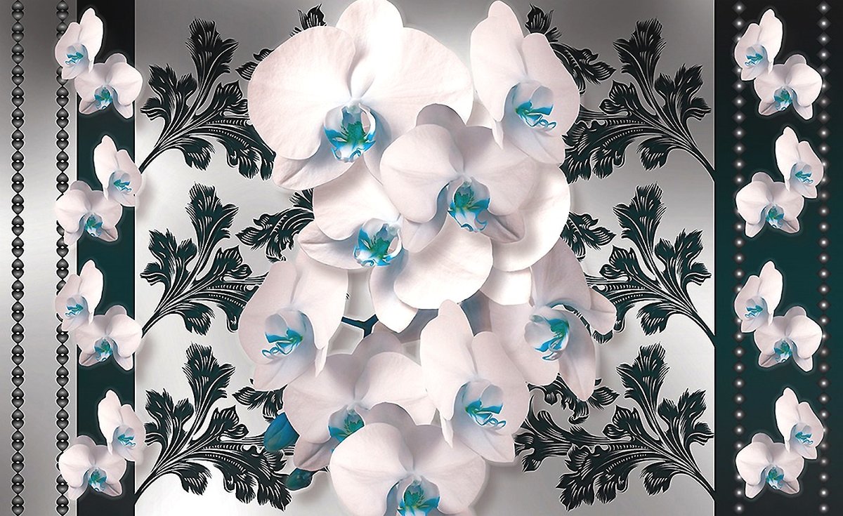 архидея - архидея, цветы - оригинал