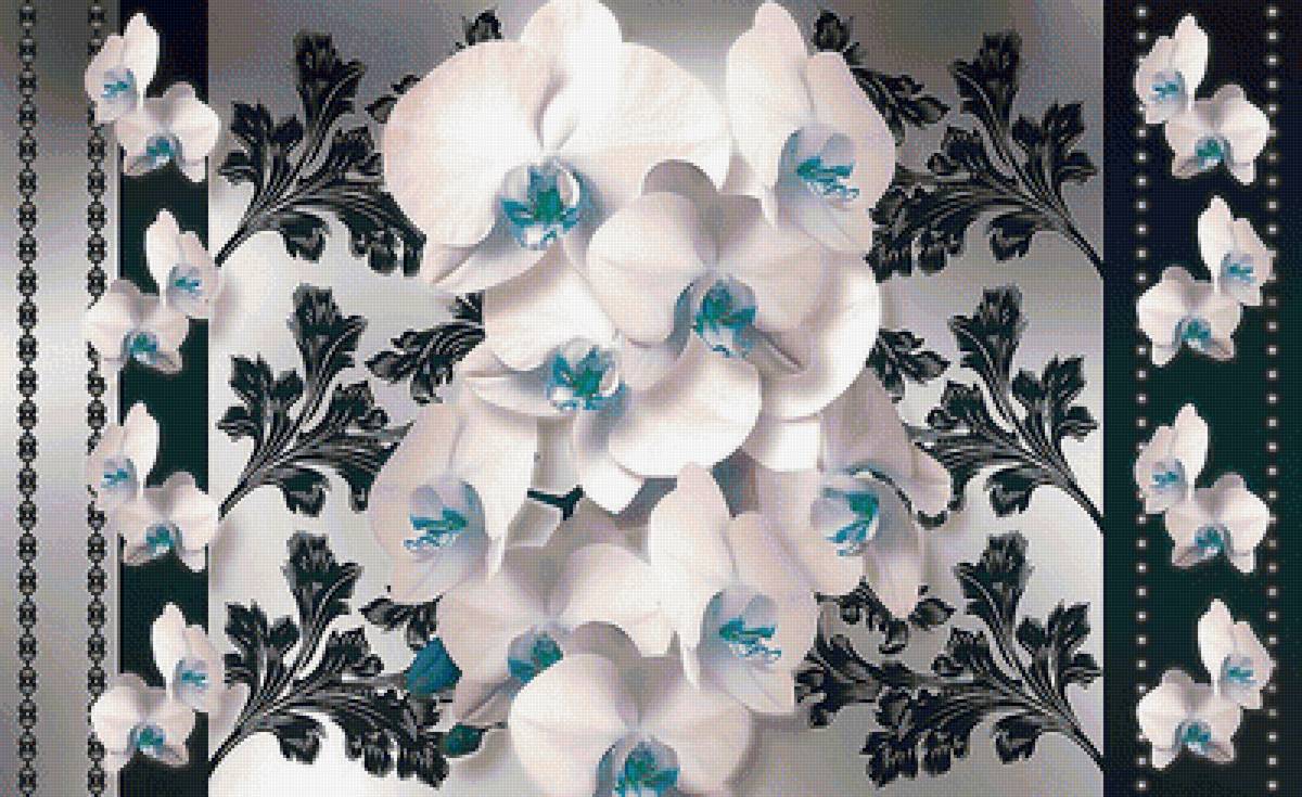 архидея - архидея, цветы - предпросмотр