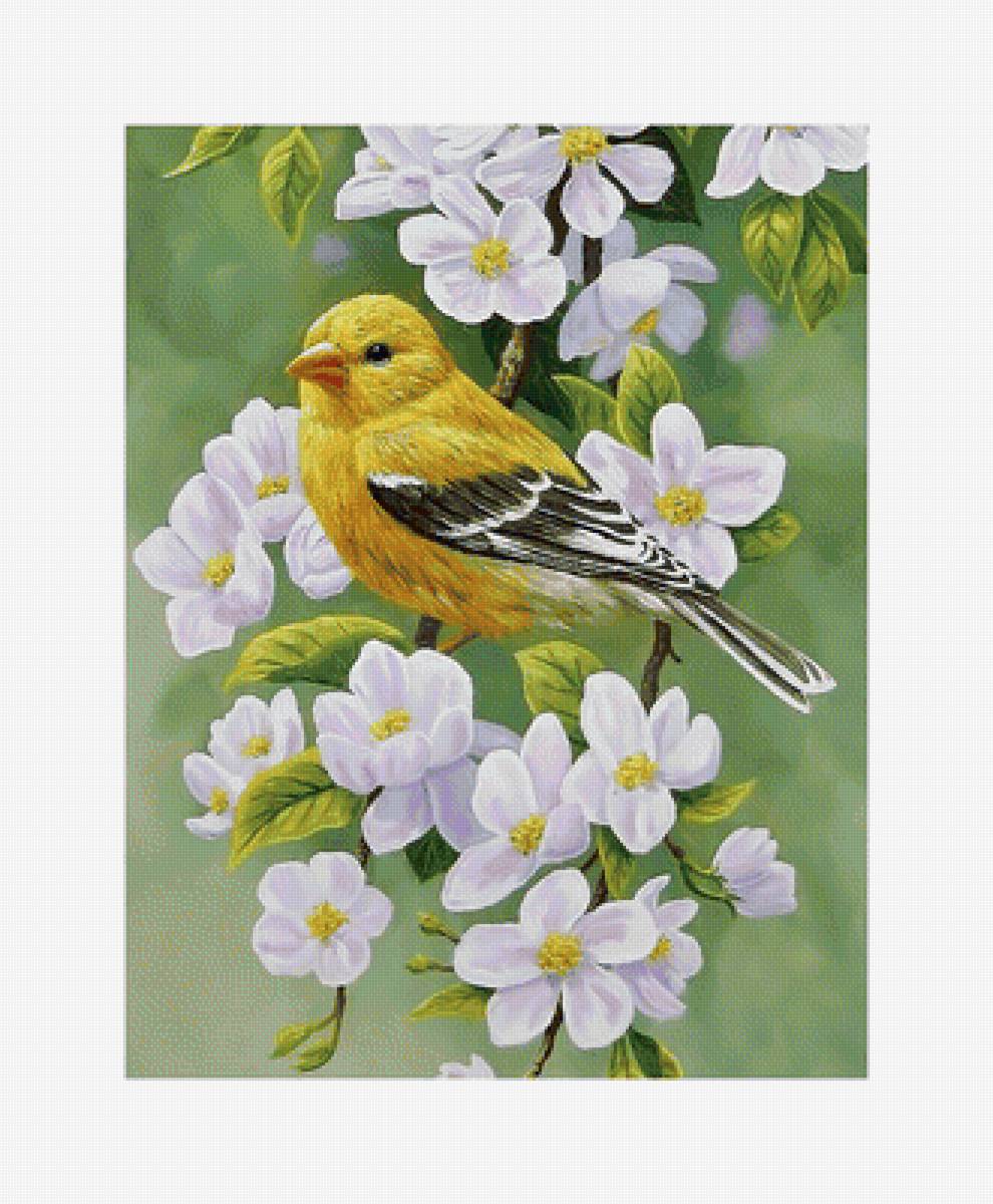 Птичка. - птица, цветы, живопись, ветка - предпросмотр