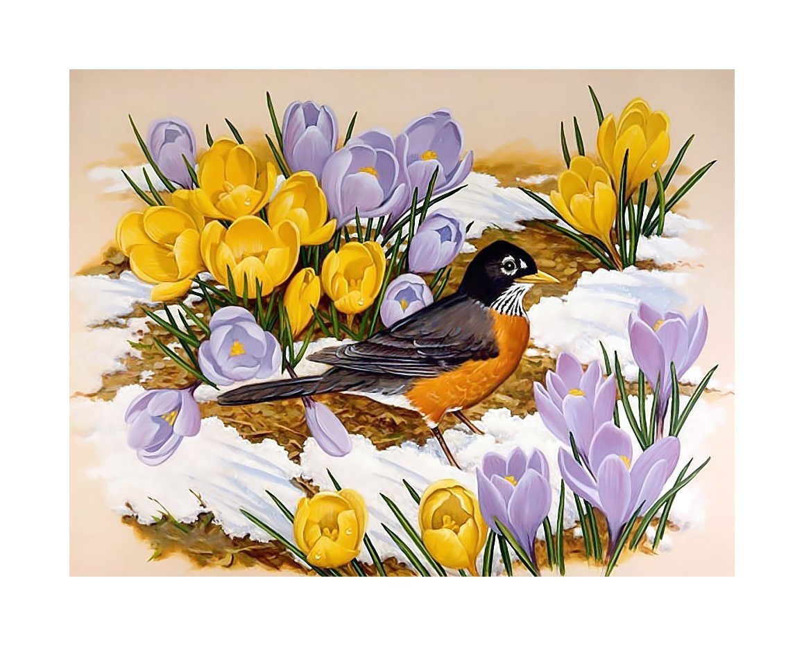 Весенняя птичка. - птица, весна, подснежники, цветы, живопись - оригинал