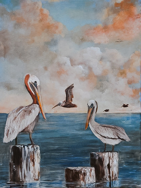 Louisiana Pelicans. - seascapes.birds. - оригинал