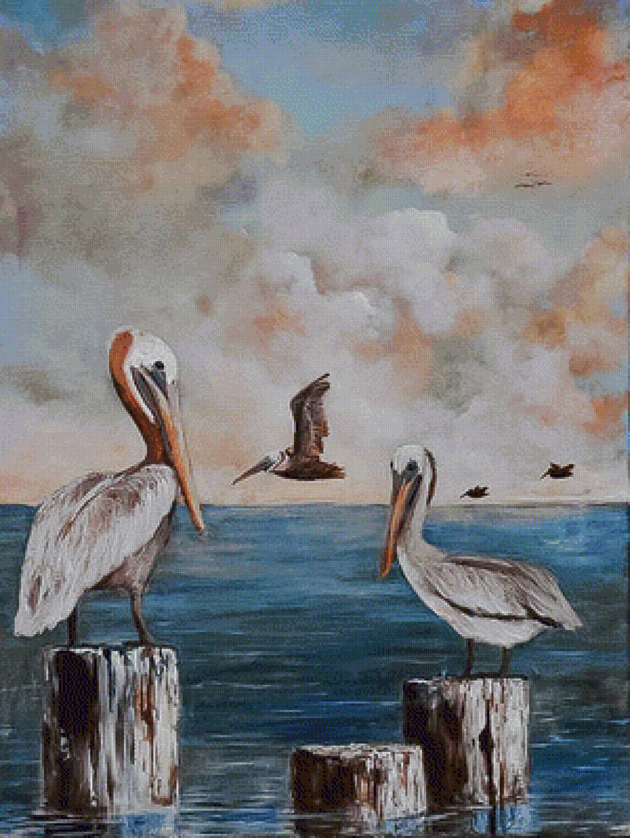 Louisiana Pelicans. - seascapes.birds. - предпросмотр
