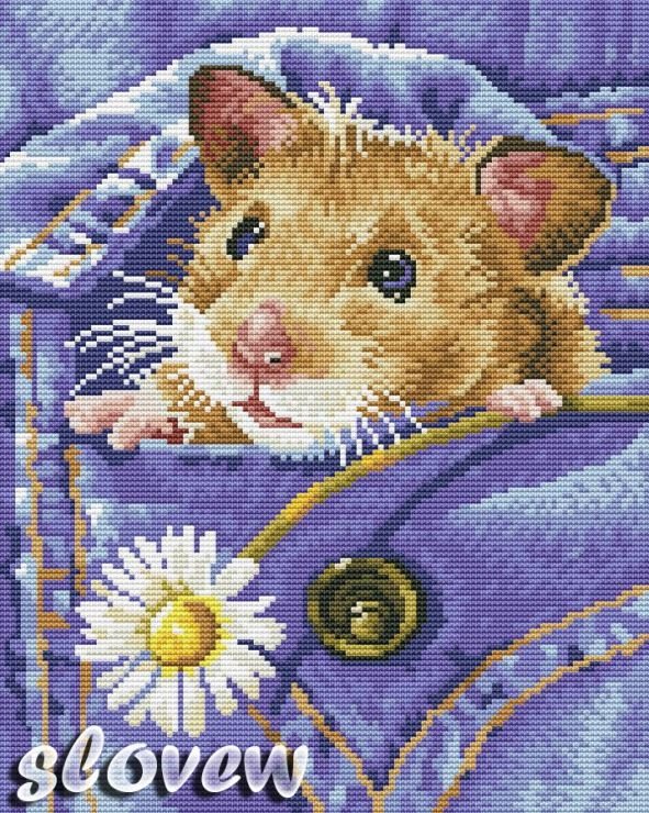 Хомячек - грызуны, животные, хомячек, картинки - оригинал