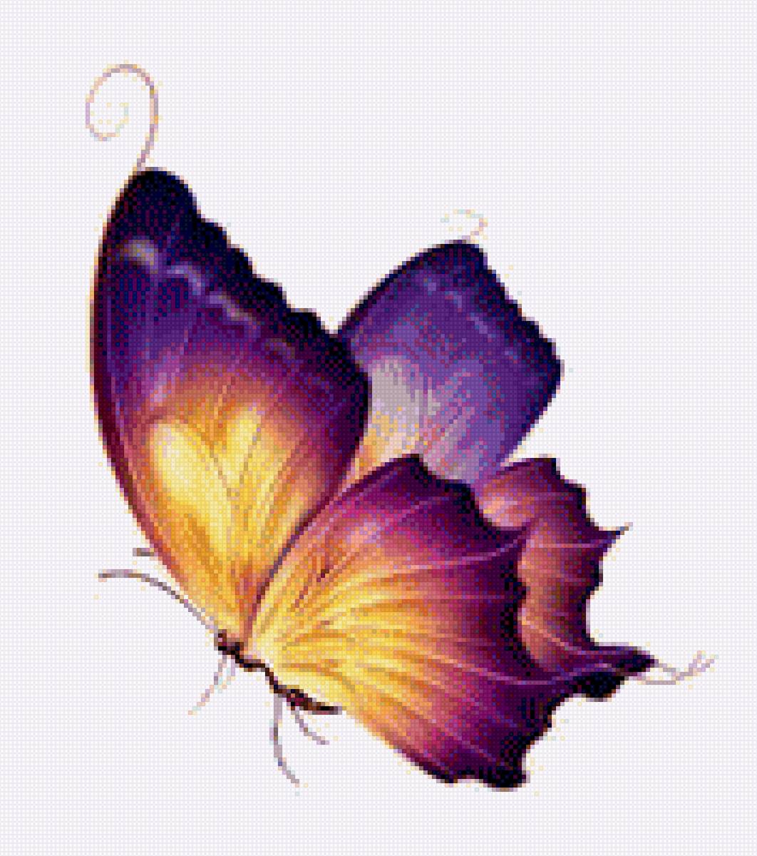 Бабочка - бабочка, картина, насекомое - предпросмотр