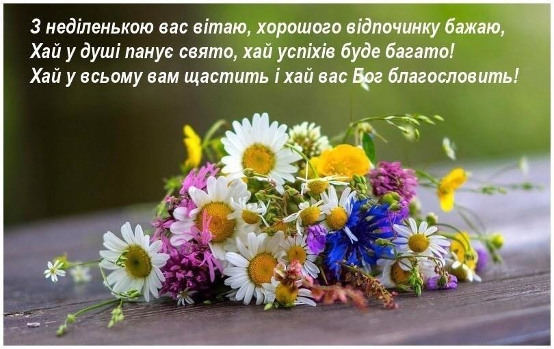 Букетик цветов - зеленые праздники, поздравление, цветы. полевые, праздник, букет - оригинал