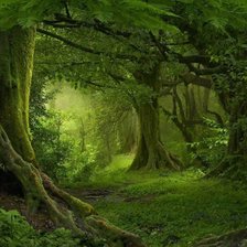 Схема вышивки «Лес»